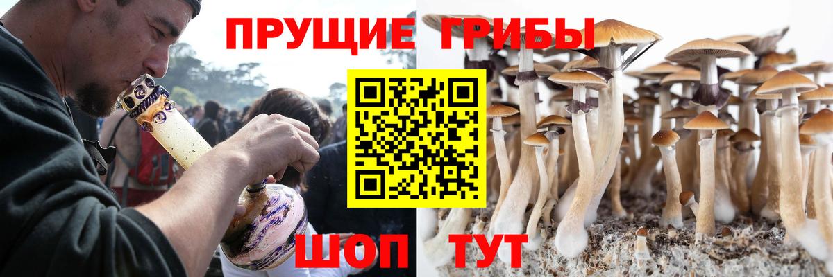 Новодвинск  Псилоцибиновые грибы Cubensis  Вход с VPN  Галлюциногенные грибы мухоморы 